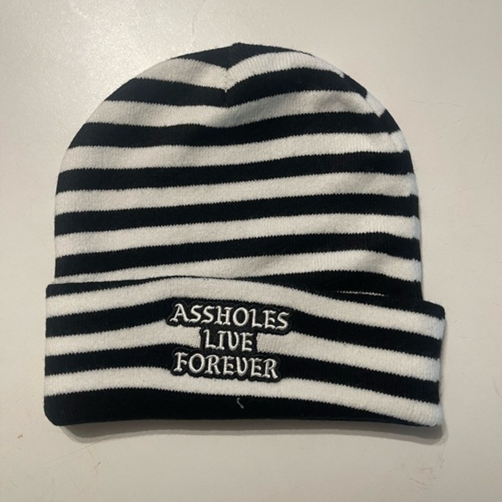 A**holes Live Forver Black And White Striped Unisex Beanie